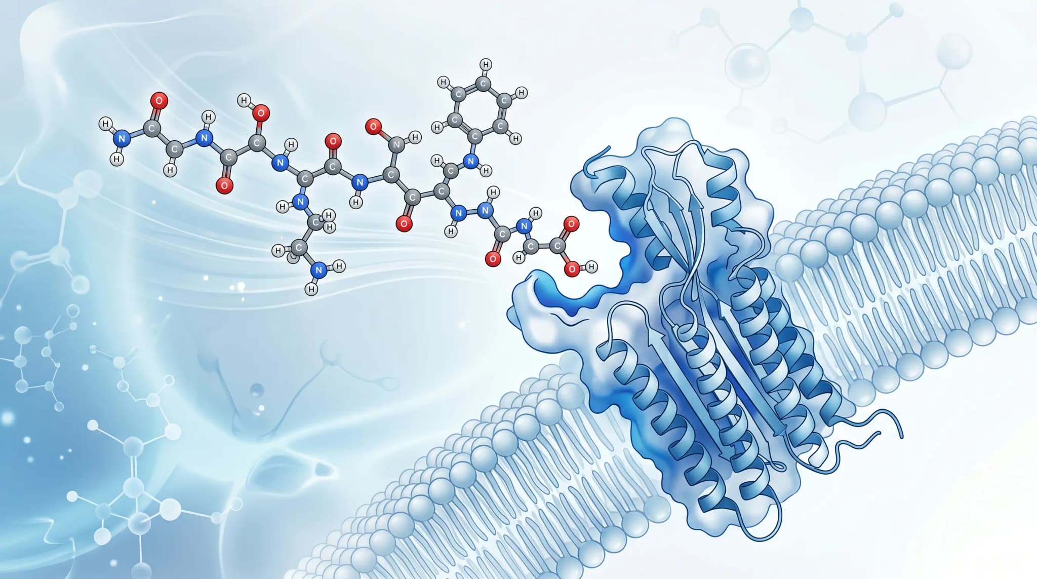 Scientific illustration representing peptide therapy research, showing a synthetic peptide compound approaching and binding a cell surface receptor in a laboratory model