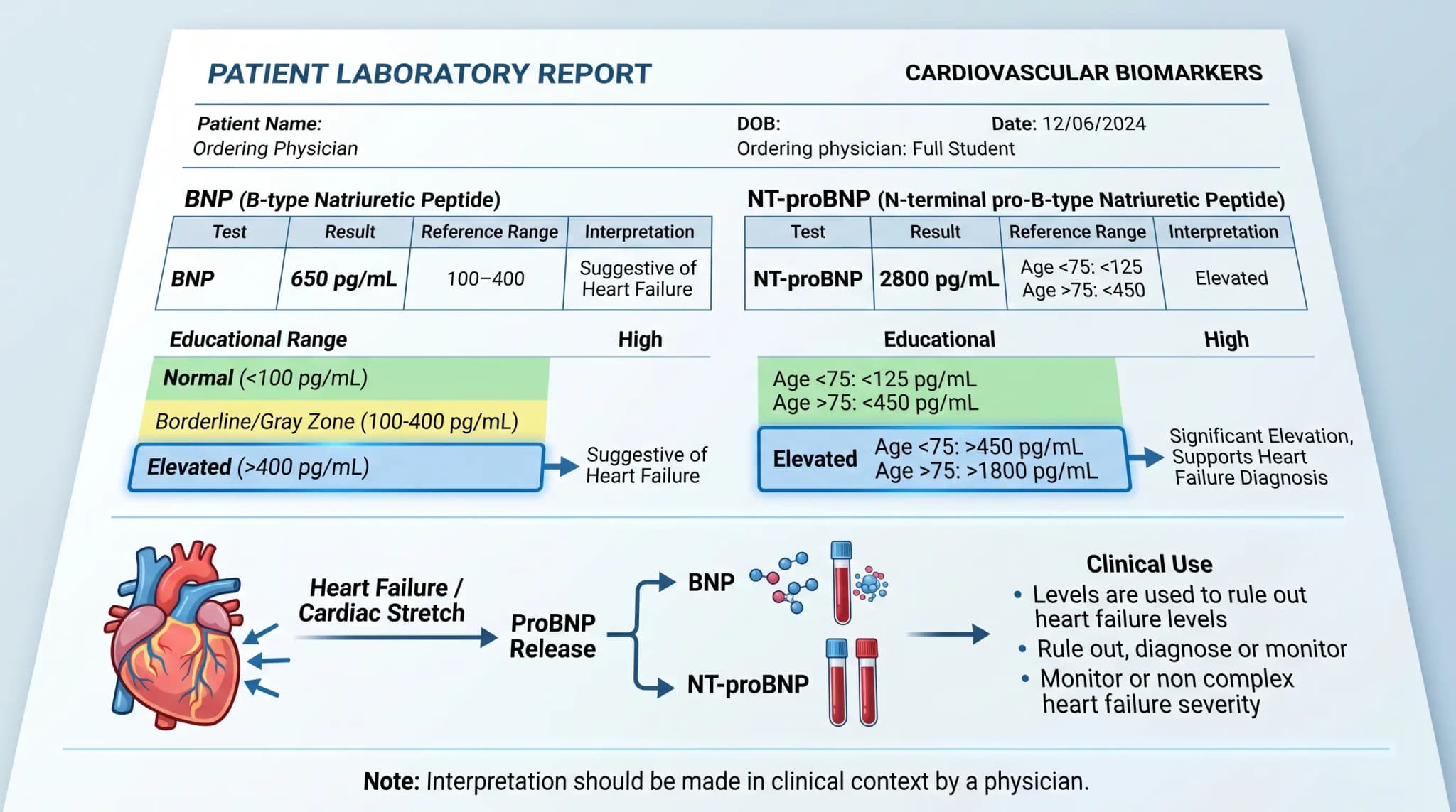 BNP and NT-proBNP Laboratory Report Educational Chart Modern laboratory report mockup showing BNP and NT-proBNP results, highlighted reference ranges, and an educational cardiovascular biomarker chart on a clean white background
