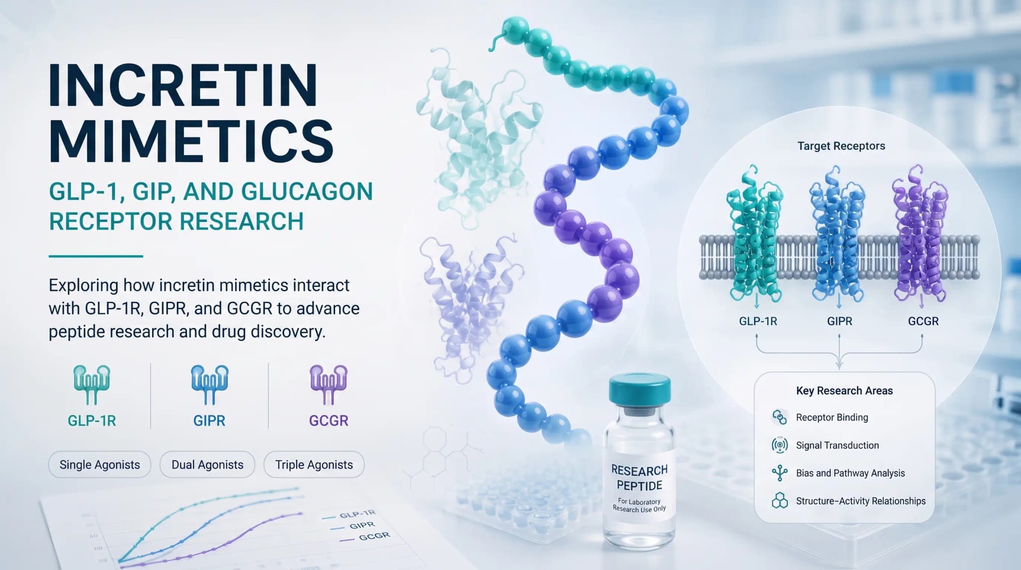 Incretin mimetics research infographic with peptide chain, receptor diagrams, laboratory vial, and data chart