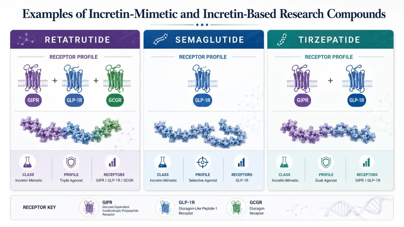 Comparaison des récepteurs du rétatrutide, du sémaglutide et du tirzépatide Infographie à trois panneaux comparant les profils de récepteurs du rétatrutide, du sémaglutide et du tirzépatide